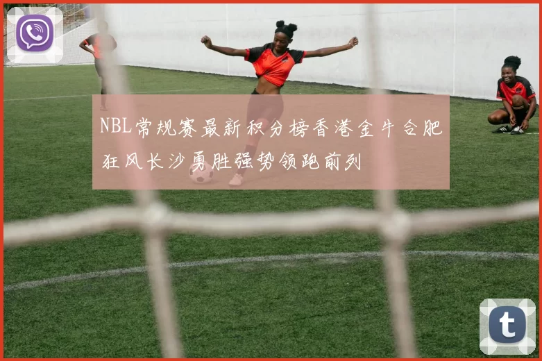NBL常规赛最新积分榜香港金牛合肥狂风长沙勇胜强势领跑前列